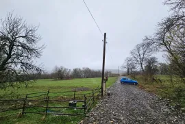 იყიდება მიწის ნაკვეთი, ჯერვალიძეები 