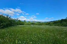 იყიდება მიწის ნაკვეთი, ჯერვალიძეები 