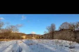 იყიდება მიწის ნაკვეთი, სასოფლო - სამეურნეო, ტუშურები