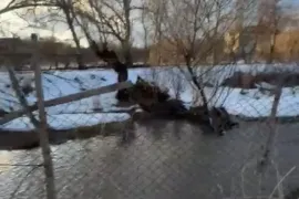 იყიდება მიწის ნაკვეთი, სასოფლო - სამეურნეო, ტუშურები