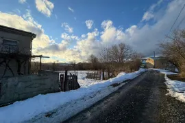 იყიდება მიწის ნაკვეთი, სასოფლო - სამეურნეო, ტუშურები