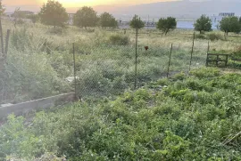 Land For Sale, Agricultural, Akhalsopeli