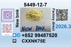 New BMK glycidic acid 5449-12-7 factory supply