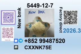 New BMK glycidic acid 5449-12-7 factory supply