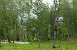 ქირავდება ბინა, 1 ოთახიანი, ახალი აშენებული, ბორჯომი, ბაკურიანი