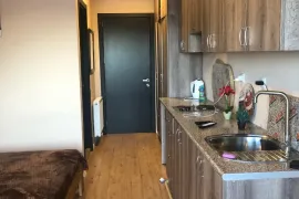 ქირავდება ბინა, 1 ოთახიანი, ახალი აშენებული, ბორჯომი, ბაკურიანი