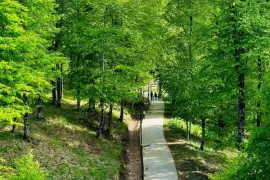 ქირავდება ბინა, 1 ოთახიანი, ახალი აშენებული, ბორჯომი, ბაკურიანი