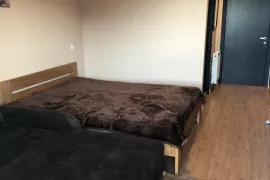 ქირავდება ბინა, 1 ოთახიანი, ახალი აშენებული, ბორჯომი, ბაკურიანი