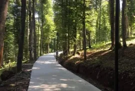 ქირავდება ბინა, 1 ოთახიანი, ახალი აშენებული, ბორჯომი, ბაკურიანი