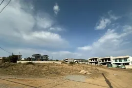 იყიდება მიწის ნაკვეთი, სასოფლო - სამეურნეო, წავკისი