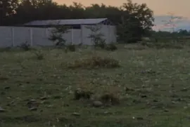 Land For Sale, Non Agricultural, Partskhanakanevi