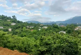 Land For Sale, Agricultural, Tsinsvla, Chelta