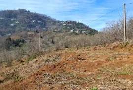 Land For Sale, Agricultural, Tsinsvla, Chelta