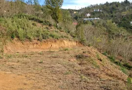 Land For Sale, Agricultural, Tsinsvla, Chelta