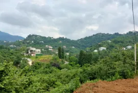 Land For Sale, Agricultural, Tsinsvla, Chelta