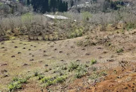 Land For Sale, Agricultural, Tsinsvla, Chelta