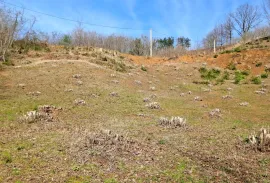Land For Sale, Agricultural, Tsinsvla, Chelta