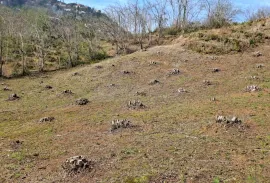 Land For Sale, Agricultural, Tsinsvla, Chelta