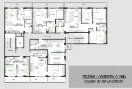 შპს სთარ ბილდინგი