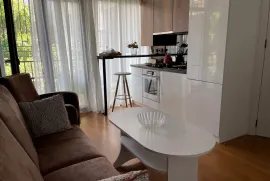 Аренда, 2 Kомнатная, Новостройка, Тбилиси, vake