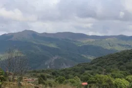 Продается Земля, Для Инвестиций, Tetri Tsqlebi