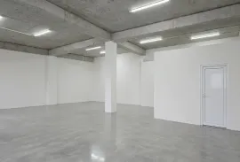 For Rent, Universal commercial space, Lisi lake