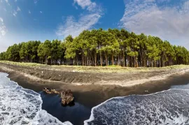 Land For Sale, Non Agricultural