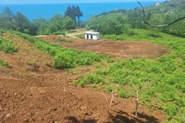 Land For Sale, Non Agricultural