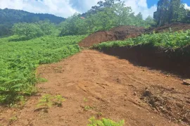 Land For Sale, Non Agricultural