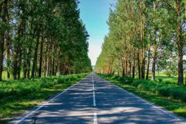 Land For Sale, Agricultural, Tolenji