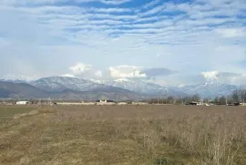 იყიდება მიწის ნაკვეთი, კომერციული, კურდღელაური