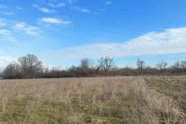 იყიდება მიწის ნაკვეთი, კომერციული, კურდღელაური