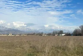 იყიდება მიწის ნაკვეთი, კომერციული, კურდღელაური