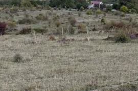 Продается Земля, Сельскохозяйственные, Kvemo Ashi