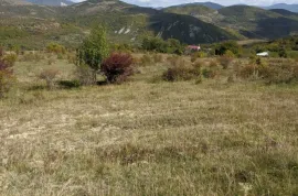 Продается Земля, Сельскохозяйственные, Kvemo Ashi