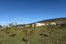 Land For Sale, Agricultural, Prezeti