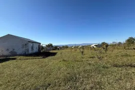 Land For Sale, Agricultural, Prezeti