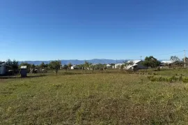 Land For Sale, Agricultural, Prezeti