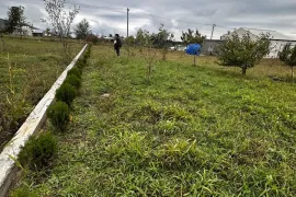 Land For Sale, Agricultural, Prezeti