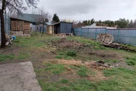 Продается Земля, Орхеви