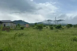 იყიდება მიწის ნაკვეთი, სასოფლო - სამეურნეო, ნავდარაანთკარი