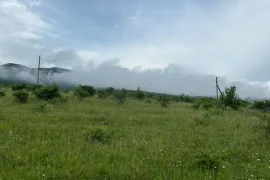 იყიდება მიწის ნაკვეთი, სასოფლო - სამეურნეო, ნავდარაანთკარი