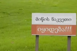 Land For Sale, Agricultural, Naghvarevi