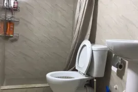 Аренда, 1 Kомнатная, Старое здание, Тбилиси, Поничала