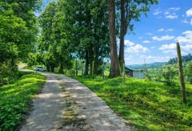 Land For Sale, Chaqvi