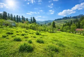 Land For Sale, Chaqvi