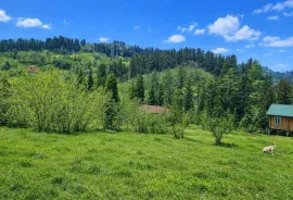 Land For Sale, Chaqvi