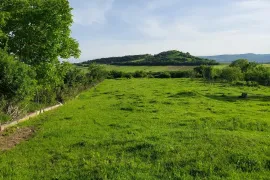 Land For Sale, Agricultural, Enageti