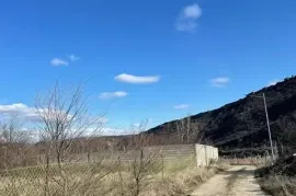 იყიდება მიწის ნაკვეთი, სასოფლო - სამეურნეო