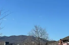 იყიდება მიწის ნაკვეთი, სასოფლო - სამეურნეო